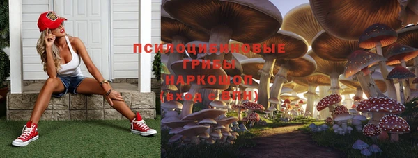 соль ск Аркадак