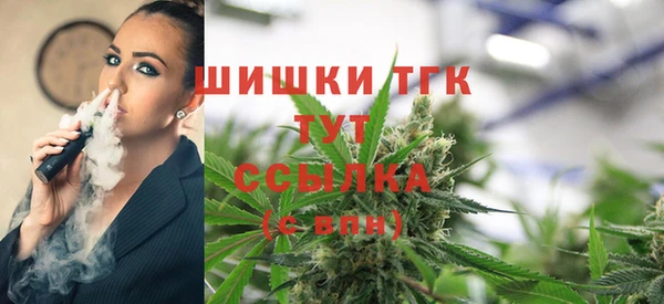 соль ск Аркадак